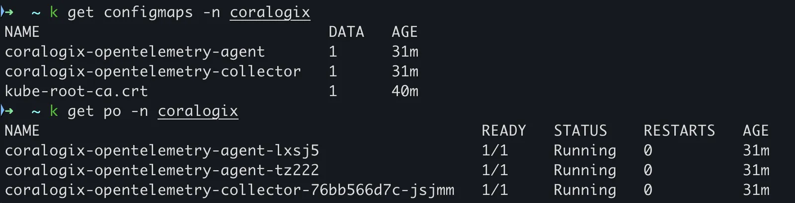 Coralogix namespace pods running