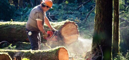 power of logs