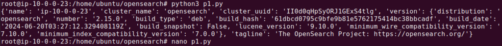 Opensearch Python 1