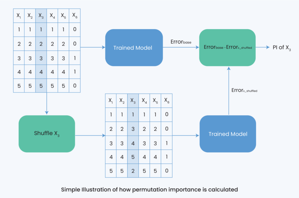 model’s prediction 