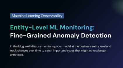 Entity-Level ML Monitoring: Fine-Grained Anomaly Detection
