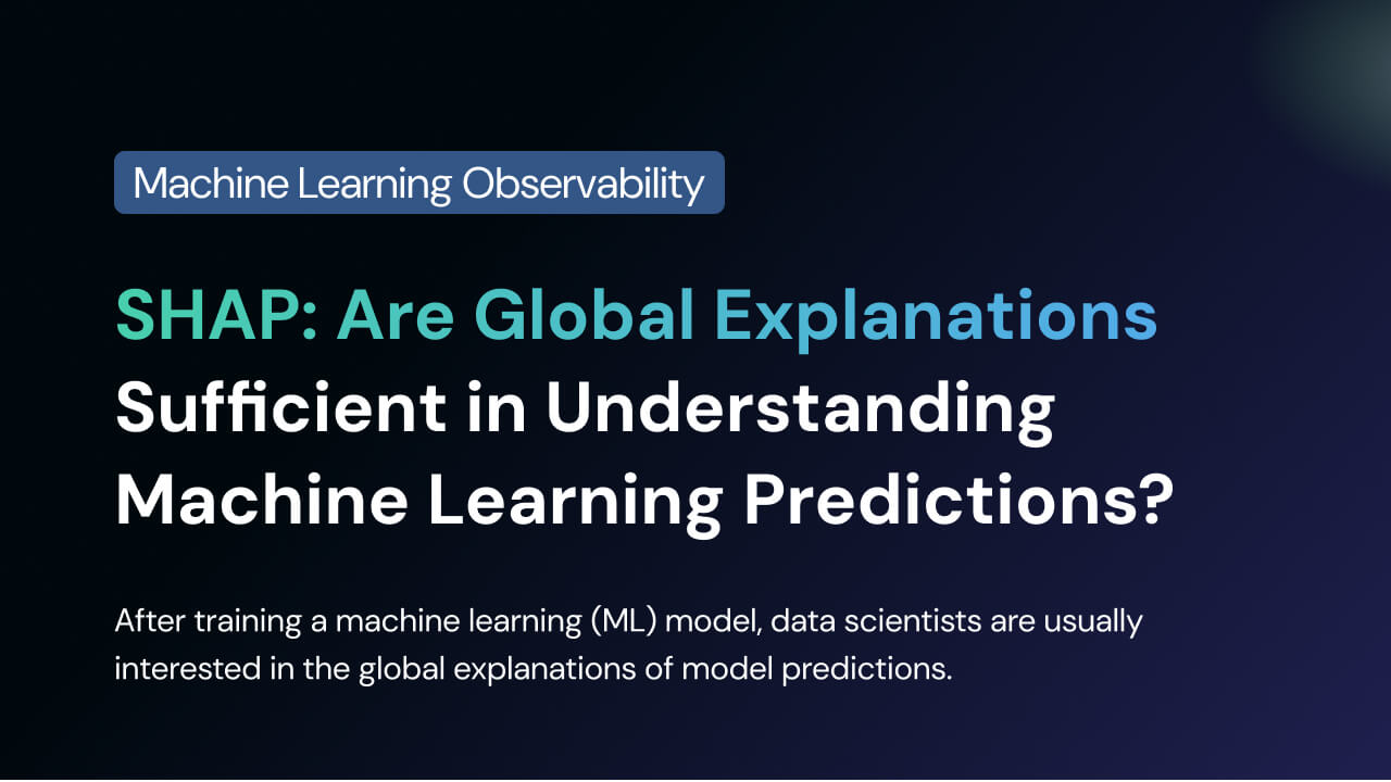 SHAP: Are Global Explanations Sufficient in Understanding Machine Learning Predictions?