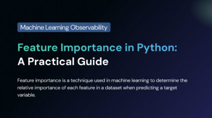 Feature Importance in Python: A Practical Guide