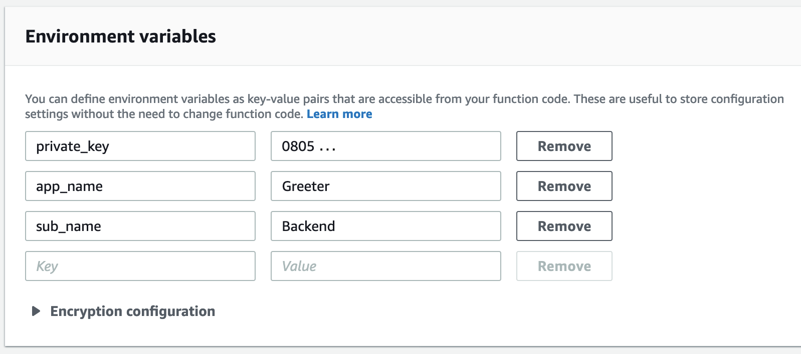 lambda environment variables