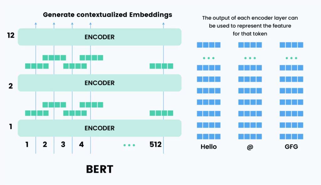 BERT architecture
