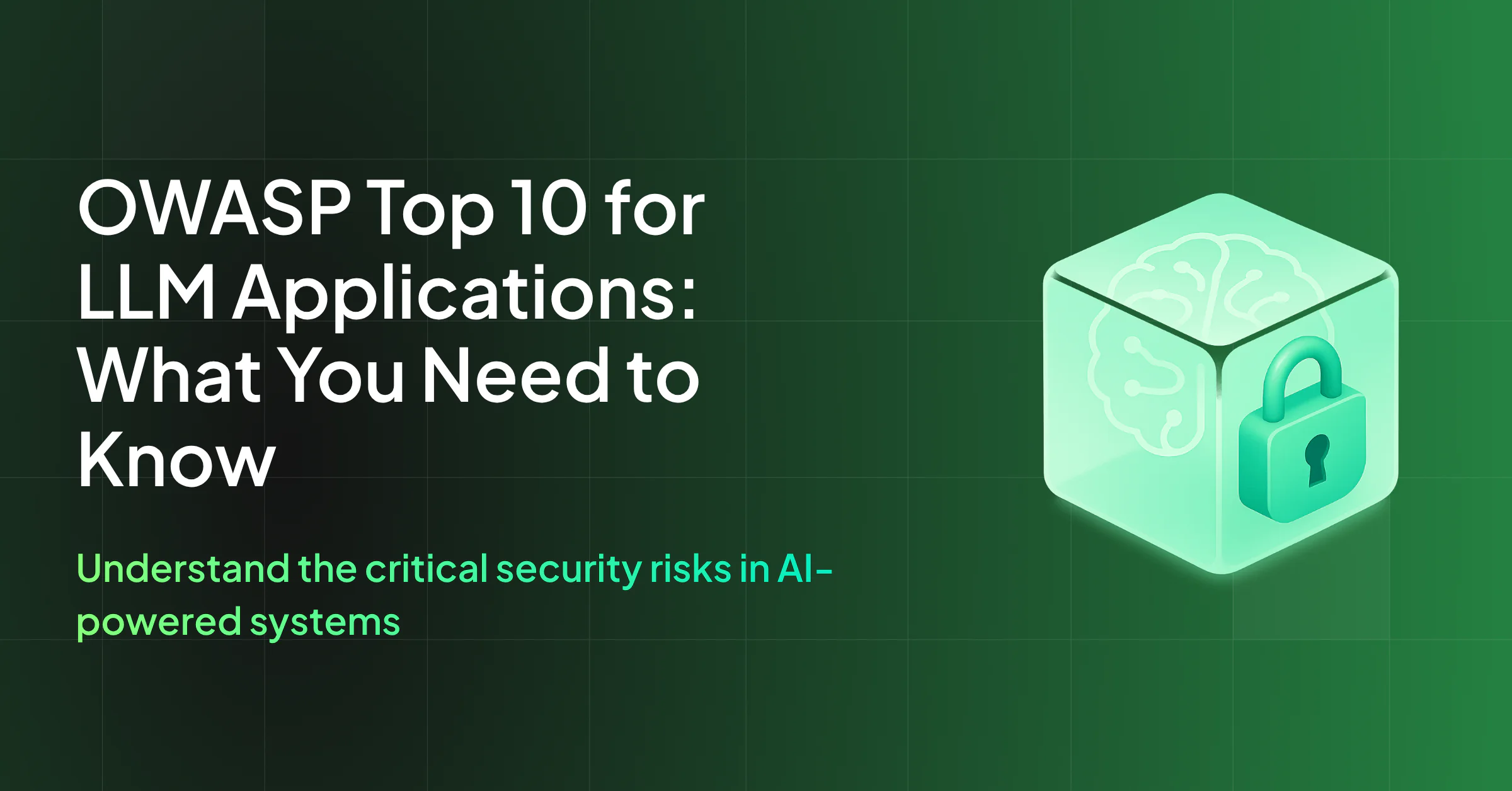 OWASP Top 10 for LLM Applications: What You Need to Know